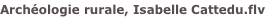 shapeimage_6_link_0