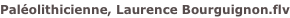 shapeimage_6_link_2