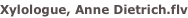 shapeimage_6_link_3